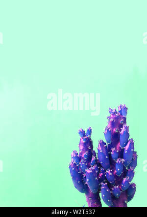 Vertical image of mini cactus in surreal styled vibrant purple blue color on mint green background Stock Photo