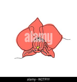 Hand drawn orchid flower, coral color, one single line drawing. isolated on white background. Stock vector illustration. Stock Vector