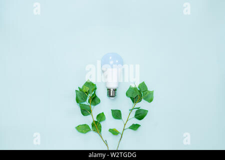 Energy efficience, ecological technologies, green electricity concept. Led lightbulb between brances with tender green leaves symbolizing environmenta Stock Photo