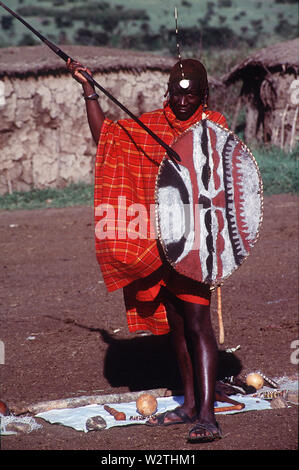 Masai warrion in full regalia with spear and buffalo shield on a manyatta near Sekenani Gate, Masai Mara, Kenya Stock Photo