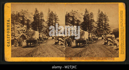 Emigrant Train, Strawberry Valley, going east (no 625), from Robert N Dennis collection of stereoscopic views Stock Photo