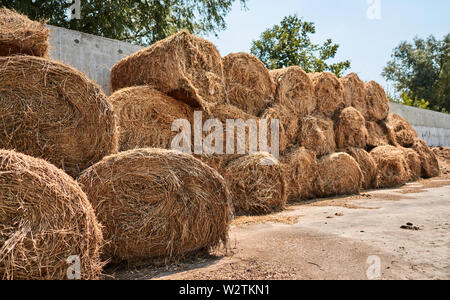 harvested hay stacks Stock Photo