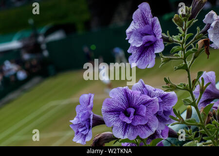Wimbledon, London, UK. 10th July 2019. 10th July 2019, The All England Lawn Tennis and Croquet Club, Wimbledon, England, Wimbledon Tennis Tournament, Day 9; Flowers are seen on the grounds of Wimbledon overlooking the courts Stock Photo