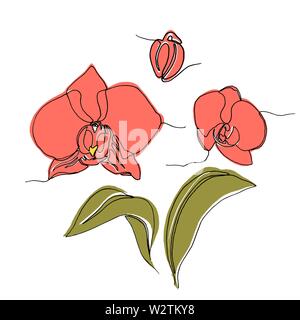 set of hand drawn orchid flowers and leaves, one single line drawing. isolated on white background. Stock vector illustration. Stock Vector