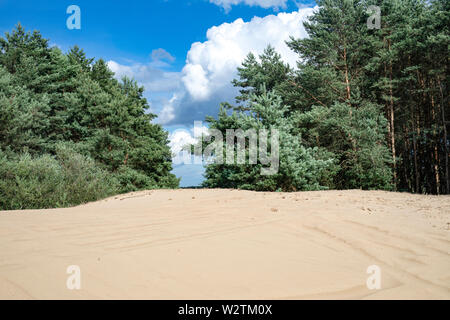 Inland dunes, sand hills on the river Warta, Protected area - "Warta Landscape Park" Stock Photo