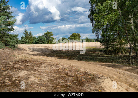 Inland dunes, sand hills on the river Warta, Protected area - "Warta Landscape Park" Stock Photo