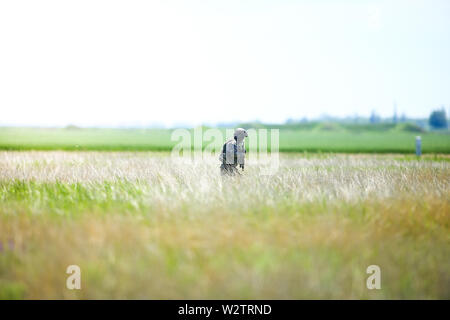 Boboc, Romania - May 22, 2019: Romanian army soldiers patrol in a  a field, on a sunny summer day during a drill. Stock Photo