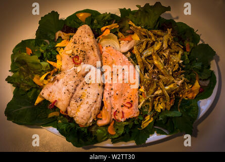 Fish and Salad for supper: salmon, trout and roasted Silveries (New Zealand Smelt: Retropinna retropinna), also known locally as Cucumberfish. Stock Photo