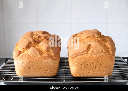 Two freshly baked loaves of bread, cooling down on a baking tray. Stock Photo