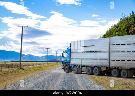 Sheffield, Canterbury, New Zealand, July 11 2019: A Carrfields livestock truck backed into cattle yards to load up on a rural gravel road Stock Photo