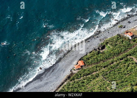 Portugal, Madeira Island, Faja dos Padres, Aloe vera in bloom Stock Photo -  Alamy