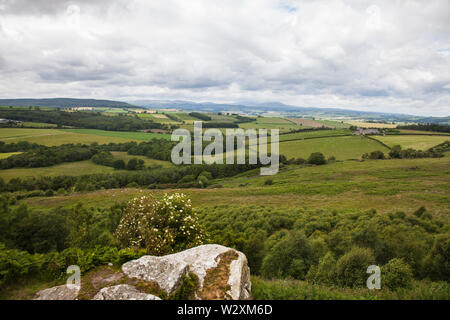 The scenic countryside between Rothbury and Alnwick with the Cheviot Hills in the background in north east England, UK Stock Photo