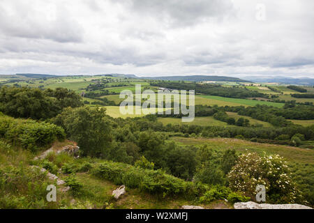 The scenic countryside between Rothbury and Alnwick with the Cheviot Hills in the background in north east England, UK Stock Photo