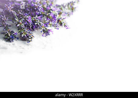 Spa massage setting with lavender flowers and cosmetic salt on white background, isolated. Stock Photo
