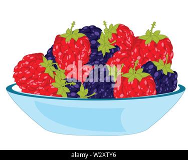 Vector illustration of the berry blackberry and raspberry on plate Stock Vector