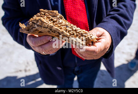 11 July 2019, Mecklenburg-Western Pomerania, Vitte: The Minister of Agriculture of Mecklenburg-Western Pomerania shows an old groyne part destroyed by the ship shell on the beach of the Baltic Sea island Hiddensee. On the coast off the village of Vitte, a new groyne system was built for around five million euros to effectively protect the villages from severe storm surges with a flood level of up to 2.60 metres. Photo: Jens Büttner/dpa-Zentralbild/dpa Stock Photo