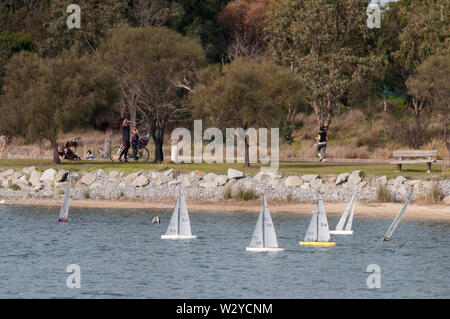 Cyclists, joggers and radio-controlled model sailboats at Karkarook Park, Moorabbin, Victoria, Australia.