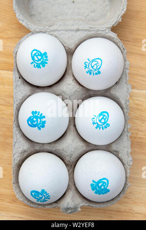 Cacklebean White free range hens eggs with a blue stamp in an eggbox with shallow depth of field Stock Photo