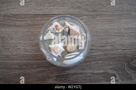 tealight glass with shells on table top view Stock Photo