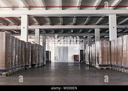 Warehouse with concrete floor and packed cartons neatly stacked on pallets. Stock Photo