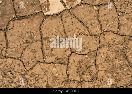 Cracked Dry Clay Ground Soil Background and Texture Stock Photo