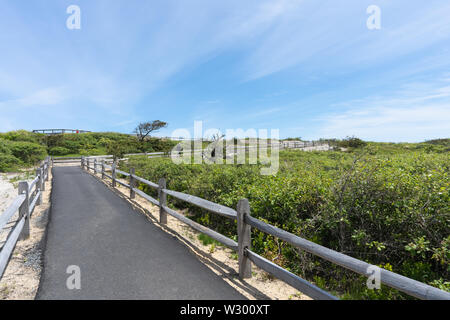 view of the walkway to the Marconi Station site in Cape Cod as well as a concept of the road or path to the goal at the top in life is not always stra Stock Photo