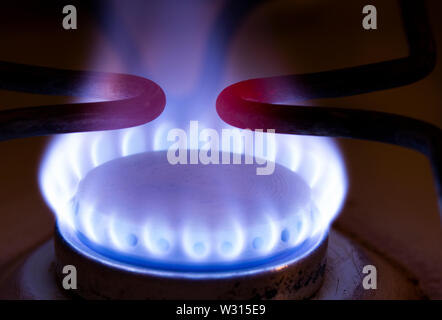 Burning blue gas on the stove.  Blue flames of gas burning from a kitchen gas stove . Copy sapce .  Closeup, selective focus. Stock Photo