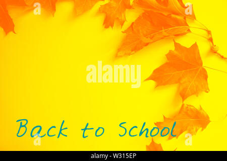Back to school concept. Orange leaves and the text Back to School. Place for your design or logo. Stock Photo