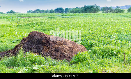 A pile of manure for fertilizing the land, natural organic feeding the land Stock Photo