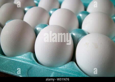 styrofoam box of white eggs in the USA United States of America Stock Photo
