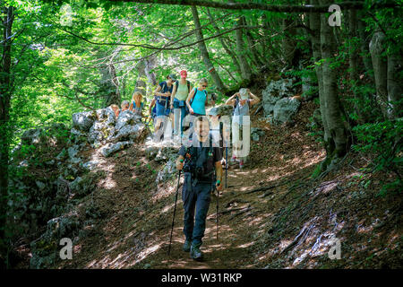 Subiaco RM, Italy - 07 July 2019: Group of hikers on the mountain path, among the beech woods of Mount Livata. Stock Photo