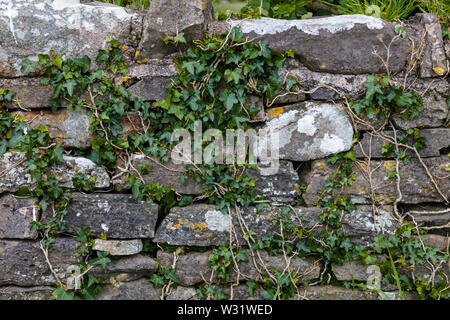 Old stone wall in County Galway Ireland Stock Photo