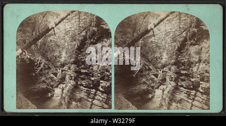 Shadow Gorge, Freer's Glen, Schuyler Co N Y, from Robert N Dennis collection of stereoscopic views Stock Photo
