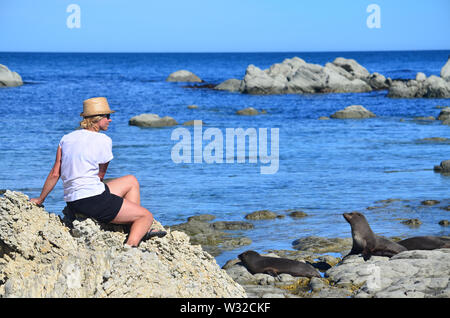Woman watching seals, New Zealand Stock Photo