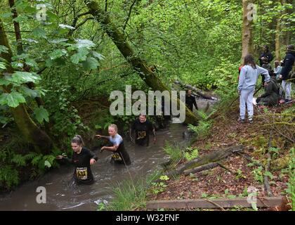 Participant runners in the 'Muddy Trial' races wading through a water filled ditch on the Craufurdland Estate, Kilmarnock, Scotland, UK Stock Photo