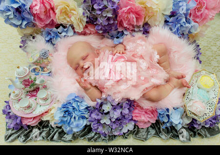 Layton, Utah, USA. 11th July, 2019. A reborn baby doll is displayed in the contest hall at the 6th Annual R.O.S.E International Doll Expo, a showcase for ultra realistic ''reborn'' baby dolls. Fashioned meticulously from viny and silcone, and weighted with glass beads and other materials for maximum realism, these collectible dolls have also been employed as emotional, cuddle therapy for dementia patients. Credit: Brian Cahn/ZUMA Wire/Alamy Live News Stock Photo