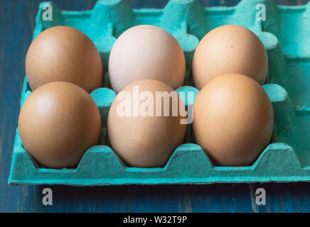 Fresh eggs in cyan cardboard container, front view Stock Photo