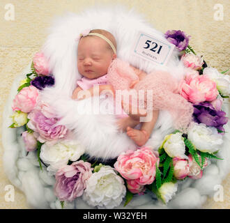 Layton, Utah, USA. 11th July, 2019. A reborn baby doll is displayed in the contest hall at the 6th Annual R.O.S.E International Doll Expo, a showcase for ultra realistic ''reborn'' baby dolls. Fashioned meticulously from viny and silcone, and weighted with glass beads and other materials for maximum realism, these collectible dolls have also been employed as emotional, cuddle therapy for dementia patients. Credit: Brian Cahn/ZUMA Wire/Alamy Live News Stock Photo