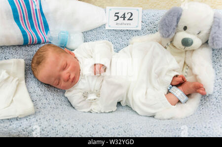 Layton, Utah, USA. 11th July, 2019. A reborn baby doll is displayed in the contest hall at the 6th Annual R.O.S.E International Doll Expo, a showcase for ultra realistic ''reborn'' baby dolls. Fashioned meticulously from viny and silcone, and weighted with glass beads and other materials for maximum realism, these collectible dolls have also been employed as emotional, cuddle therapy for dementia patients. Credit: Brian Cahn/ZUMA Wire/Alamy Live News Stock Photo