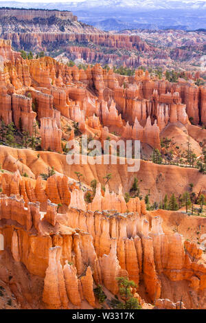Hoodoo rock formations at Bryce Canyon National Park, Utah, United States of America Stock Photo