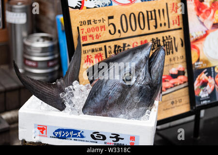 Tokyo, Japan - March 30, 2019: Big frozen head of bluefin tuna or toro maguro in Tsukiji outer street fish market in seafood store or shop Stock Photo