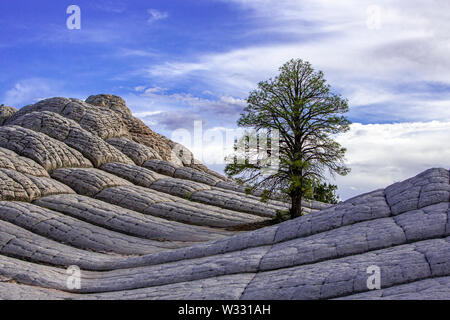 White Pocket in Vermillion Cliffs National Monument, Arizona, United States of America Stock Photo