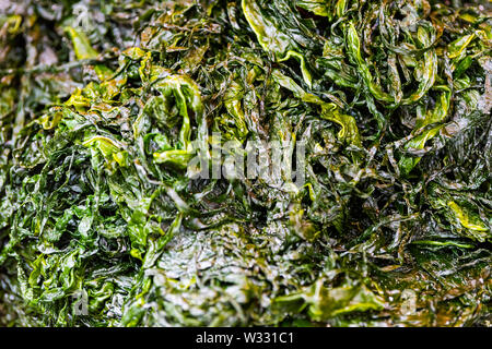 Retail store display of wakame or nori soaked fresh raw green