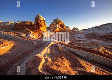 The Octopus at sunrise in White Pocket, Vermillion Cliffs National Monument, Arizona, United States of America Stock Photo