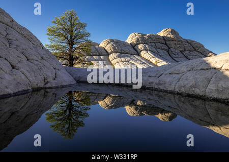 White Pocket in Vermillion Cliffs National Monument, Arizona, United States of America Stock Photo
