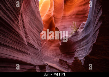 Arizona slot canyon scenery at Rattlesnake Canyon, United States of America Stock Photo