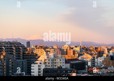 Colorful sunset in Tokyo, Japan Shinjuku cityscape with silhouette of Mount Fuji and golden sunlight, apartment buildings and mountains Stock Photo