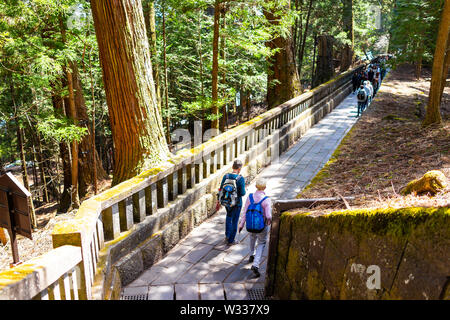 Nikko, Japan - April 4, 2019: Tourists people walking on stone pathway or path trail in Tochigi prefecture in mountain cedar forest leading to Toshogu Stock Photo