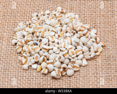 Close up millet rice or millet grains in small sack. Studio shot ...