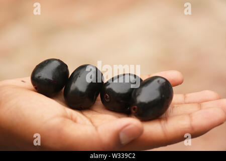 blu berry fruit must poisonous Stock Photo